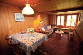 45 Zimmer Ferienwohnung Hofstatthaus - Hasliberg - 7