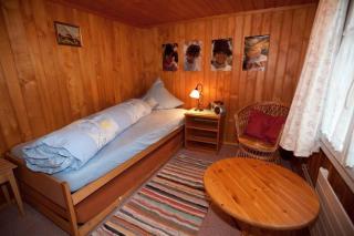 45 Zimmer Ferienwohnung Hofstatthaus - Hasliberg - 2