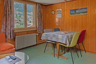 3-Zi-FeWo Gehrihornblick - Frutigen - 2