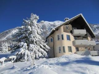 Chesa Basilisk 1 - ÖV inklusive - Pontresina - 9