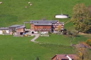 Bauernhof Hasenbüel - Sankt Peterzell - 0