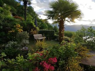 Traumhafter Blick auf Lago Maggiore - Piazzogna - 8