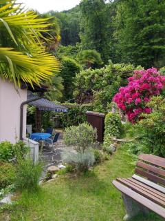 Traumhafter Blick auf Lago Maggiore - Piazzogna - 7