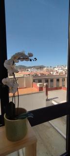 Estudio centro de La Laguna - La Laguna - 8