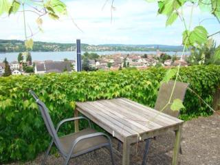 Ferienwohnung mit Sonnenterrasse und Seesicht - Steckborn - 4