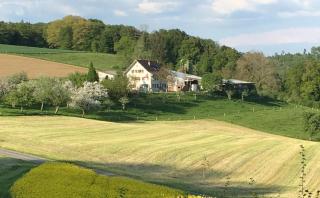 Ferienwohnung Waldhof - Schneisingen - 0