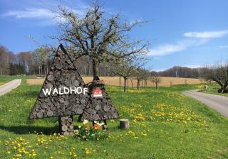 Ferienwohnung Waldhof - Schneisingen - 8