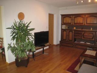 Ferienwohnung Dent Blanche - Savièse - 3