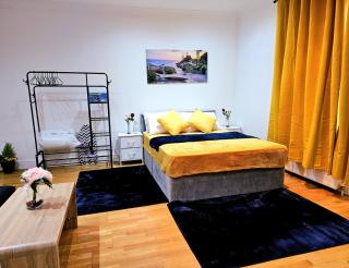 Elegant Spacious Studio Apartment in London - Londra - 8