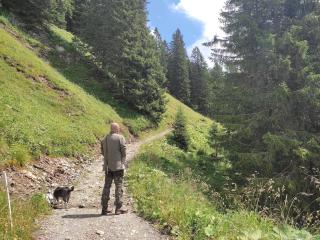 Fewo Vilstalsäge - Pfronten - 4