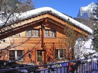 Adler 2 Bett Wohnung - Grindelwald - 9