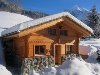 Adler 2 Bett Wohnung - Grindelwald - 8