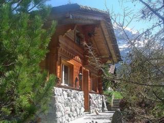 Adler 2 Bett Wohnung - Grindelwald - 1