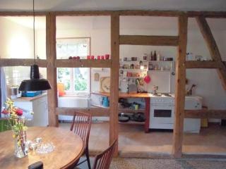 Historic Farm House In The Wendland Region - - 4
