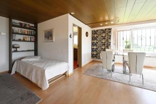 Appartement Alpenblick A1 - Weggis - 3