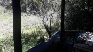 cabaña sin luz en campo - 2