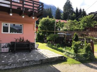 Apartament Floare de Colț - Buşteni - 0