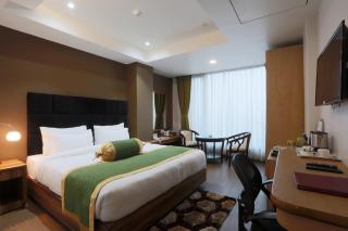 Hotel Ginger Plaza Delhi Airport - New Delhi - 7