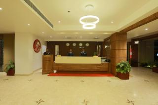 Hotel Ginger Plaza Delhi Airport - New Delhi - 8