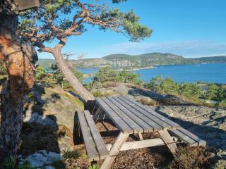 Beautiful Cabin With Sea View In Kragerø Isles - Kragerø - 8