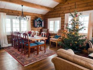 Mountain Cabin With Ski Trails At Sangefjell - Ål - 7