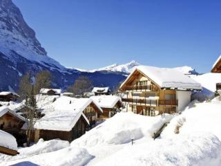 Steinbilla 2 Bett Ferienwohnung - Grindelwald - 9