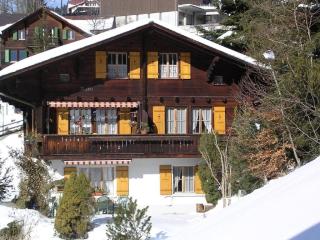 Birkli 2, 2 Bett Wohnung - Wengen - 9