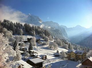 Birkli 2, 2 Bett Wohnung - Wengen - 7