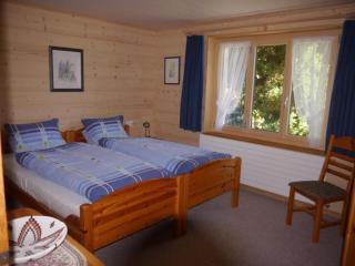 Birkli 2, 2 Bett Wohnung - Wengen - 4