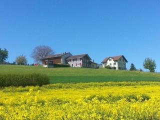 Wohnung Kohlweid - Nottwil - 9