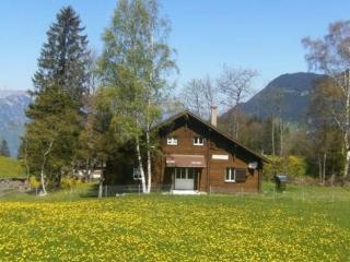 Ferien im grünen links - Haldi bei Schattdorf - 7