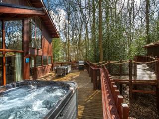Sherwood Forest Cabins - Forest Holidays - Edwinstowe - 7