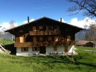 Gemütliche Ferienwohnung auf der Axalp - Axalp - 9