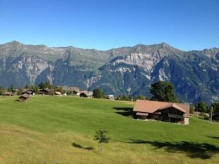 Gemütliche Ferienwohnung auf der Axalp - Axalp - 8