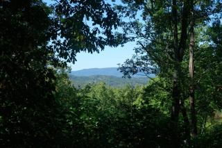 The Road Less Traveled - Pigeon Forge - 9