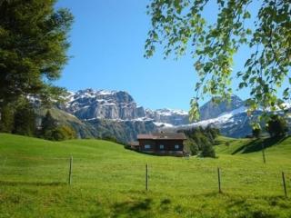 Ferien im grünen rechts - Haldi bei Schattdorf - 4