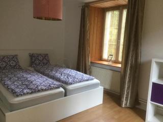 Ferienwohnung Hof unterer Dürrenberg Langenbruck - Langenbruck - 8