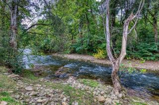 Henderson's Riverside - Pigeon Forge - 6