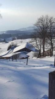 Studio im Bauernhaus 4 Pers - Chardonne - 6