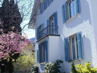 Stilvolle, großzügige Wohnung in Jugendstil-Villa - Chur - 0