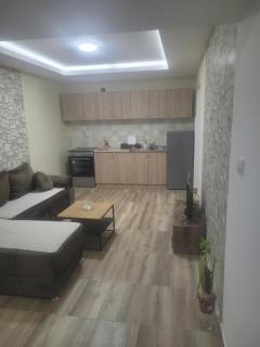 Golden Apartment - Valjevo - 6