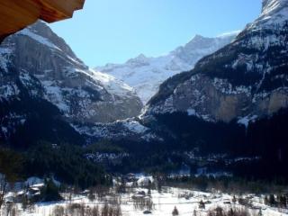 Chessibach 2 Bett Wohnung - Grindelwald - 5