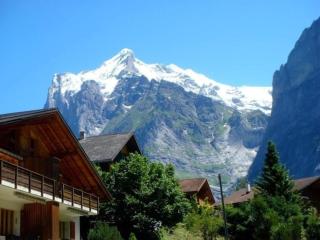 Chessibach 2 Bett Wohnung - Grindelwald - 2
