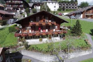 Chessibach 2 Bett Wohnung - Grindelwald - 1