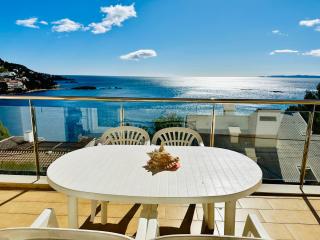 3335 MIRADOR II - Roses - 8