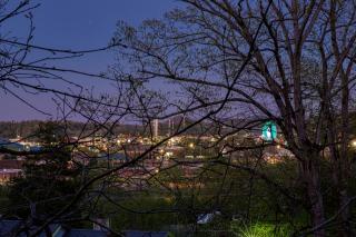 Inn The Vicinity - Pigeon Forge - 3
