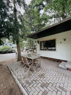 Ludwigslust Vogtland de - Ideal für Naturliebhaber & Fellnasen - 2