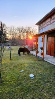 Svatoplukovo království - 3