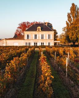 Château Grand Corbin - Saint-Émilion - 7