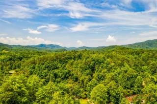 Bearadise Mountain Lodge - Sevierville - 0